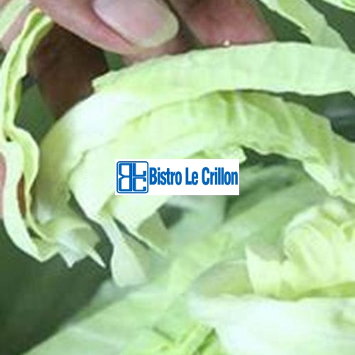 How to Cook Cabbage to Perfection | Bistro Le Crillon